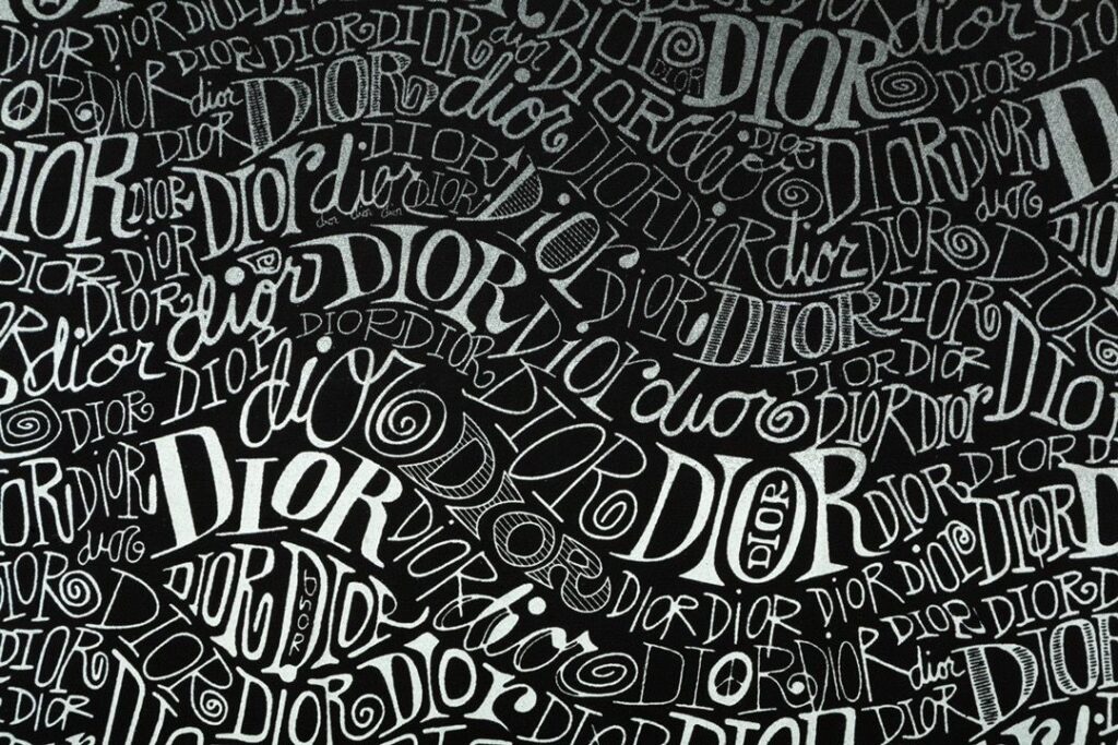 【 DIOR 公式旗艦店】ディオール Tシャツ ご好評に付き再入荷！ - 画像 (10)
