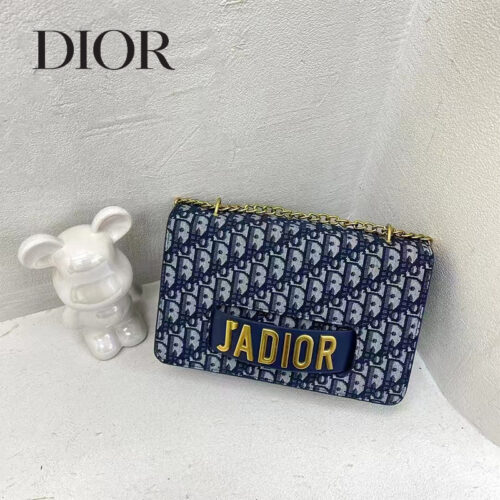 DIOR本革バッグ28 SS102481