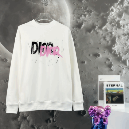 DIORパーカー 52 SS105468