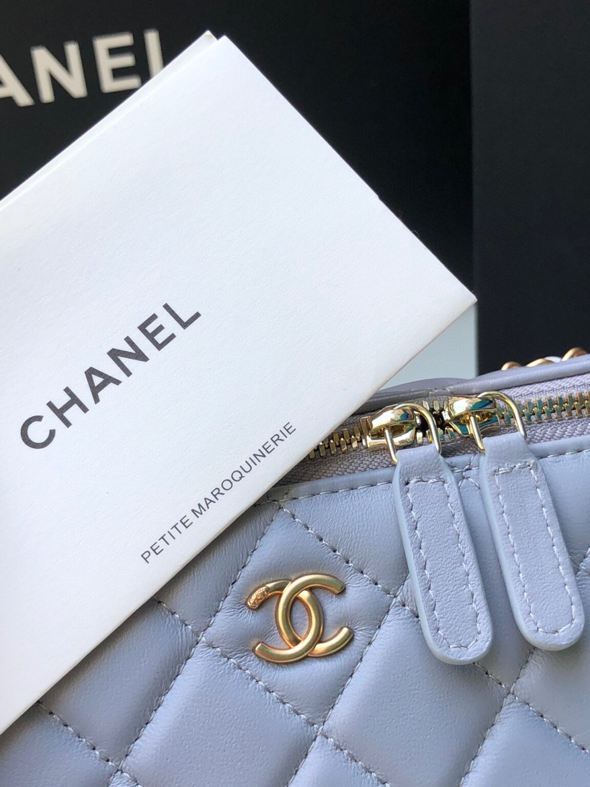 Chanel Classic Vanity 22C Bag with Chain AP2303 - 画像 (2)