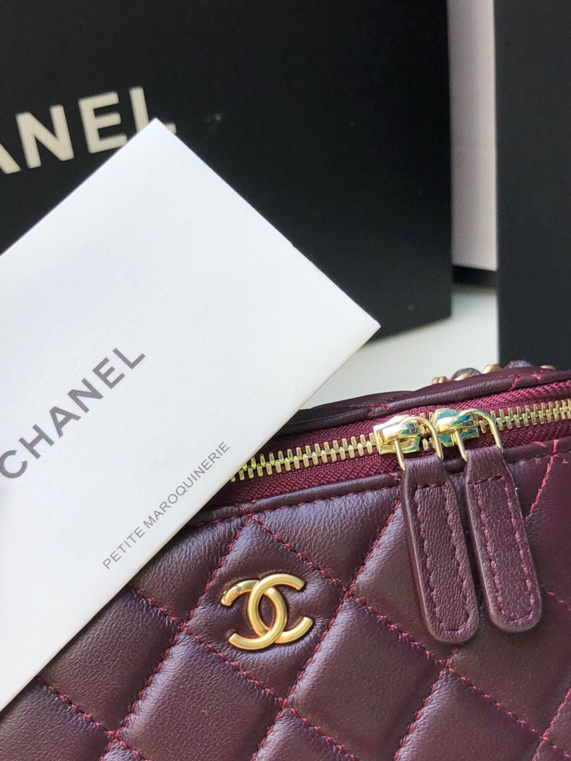 Chanel Classic Vanity 22C Bag with Chain AP2303 - 画像 (5)