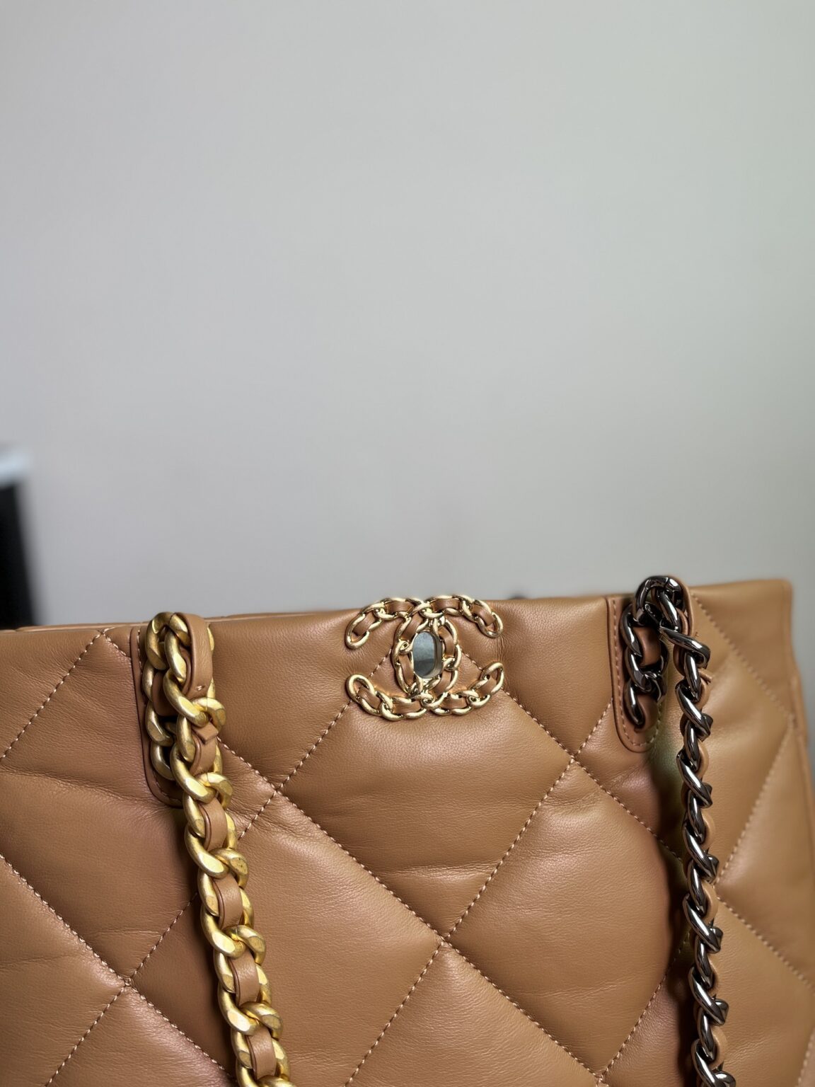CHANEL 19 SHOPPING BAG 3519 - 画像 (8)