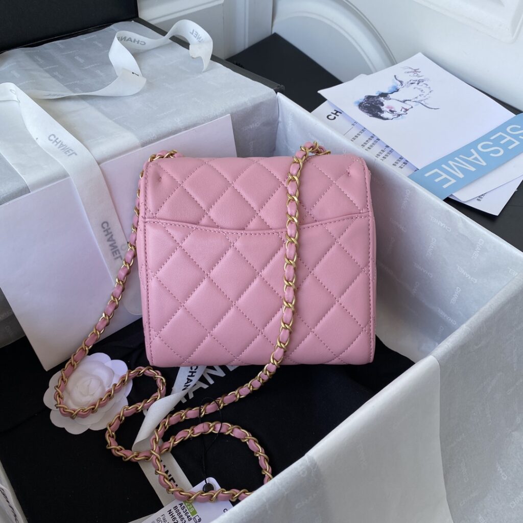 Chanel MINI FLAP BAG AS3648 - 画像 (11)