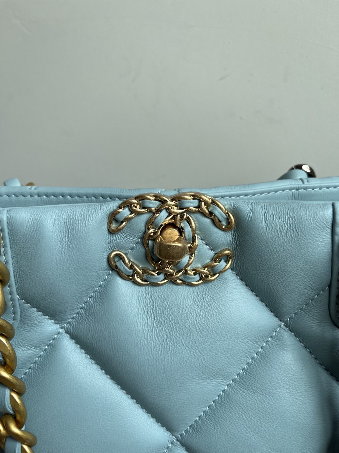 CHANEL 19 SHOPPING BAG 3519 - 画像 (26)