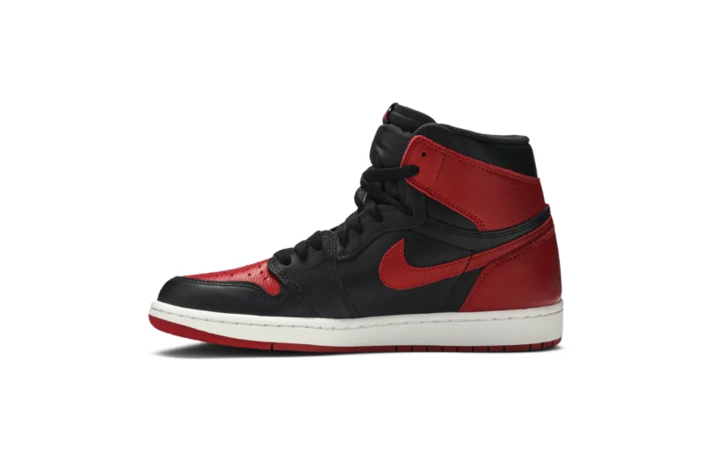 AIR JORDAN 1 RETRO HIGH OG “BANNED”2016[リアーナも着用] - 画像 (3)