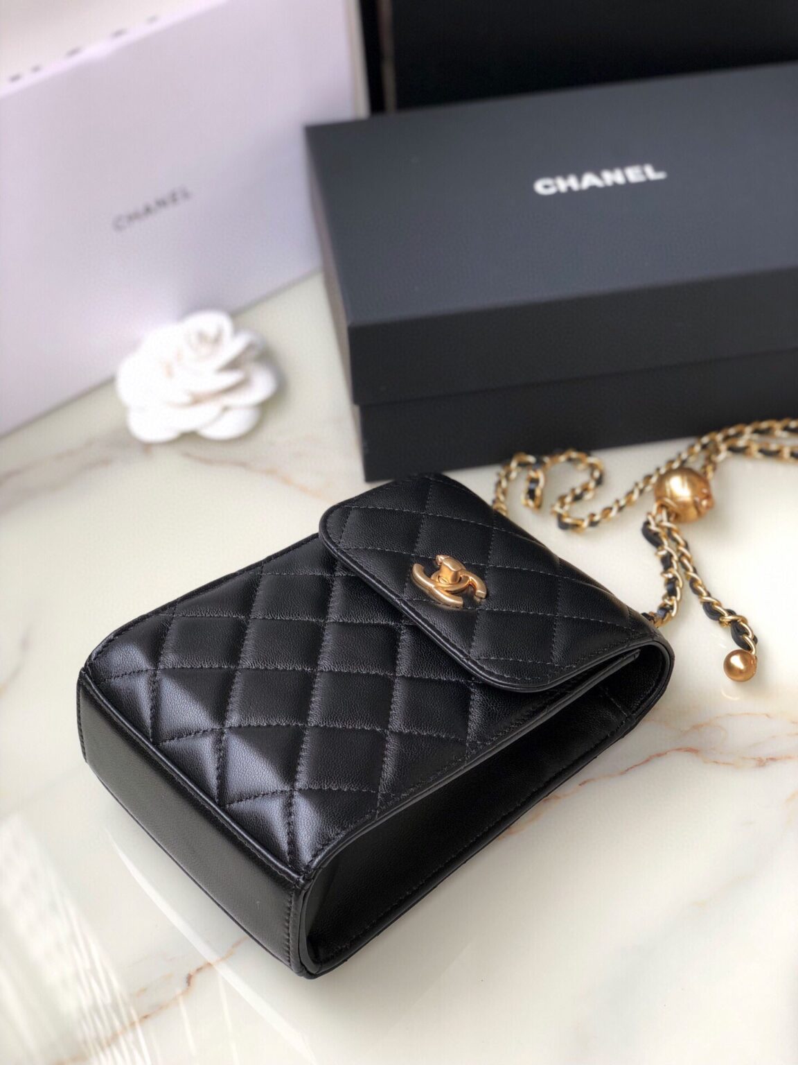 CHANEL CLUTCH 1496 - 画像 (6)