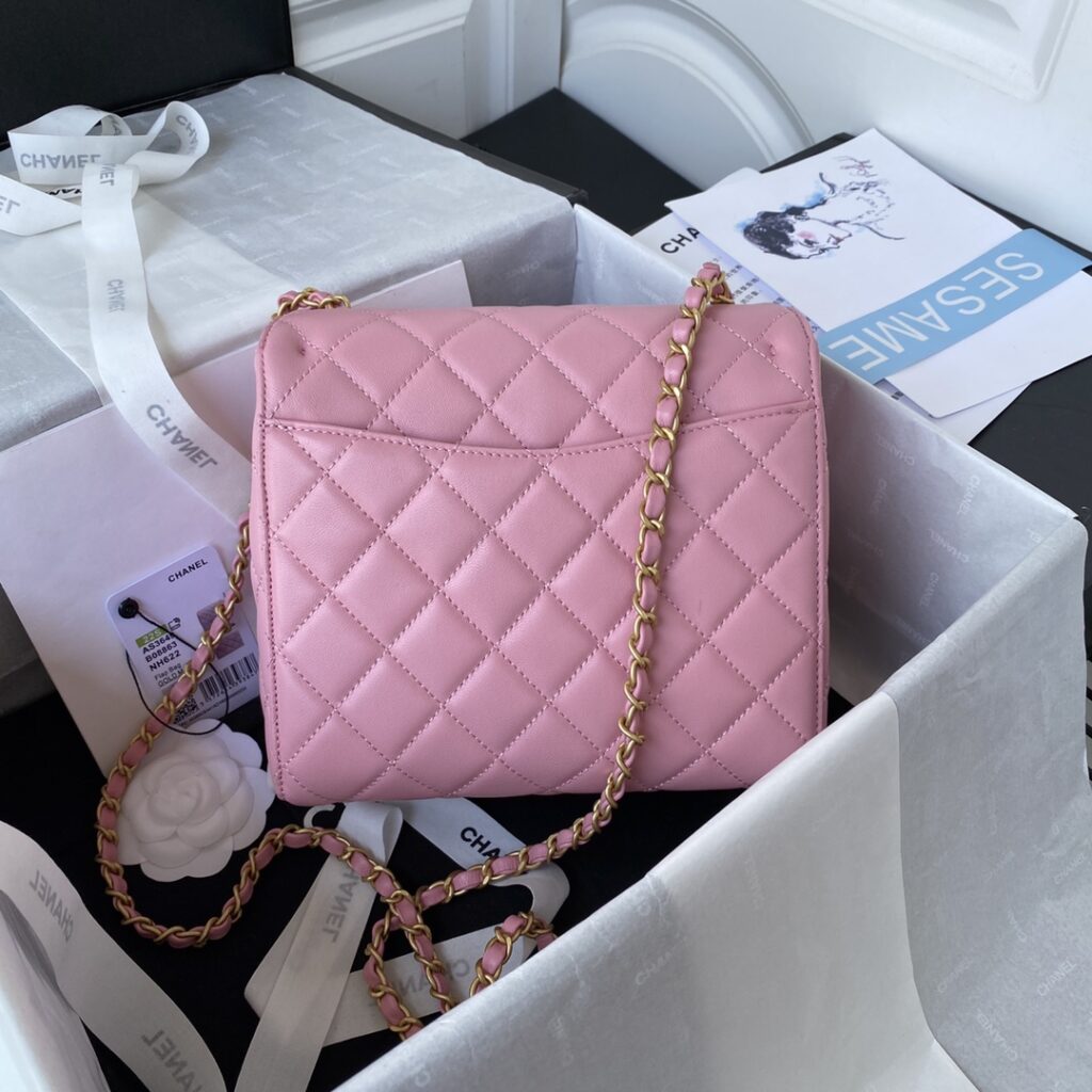 Chanel MINI FLAP BAG AS3649 - 画像 (11)
