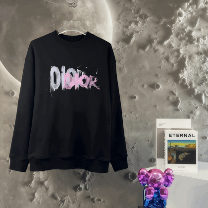 DIORパーカー 53 SS105468