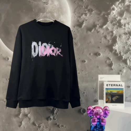 DIORパーカー 53 SS105468
