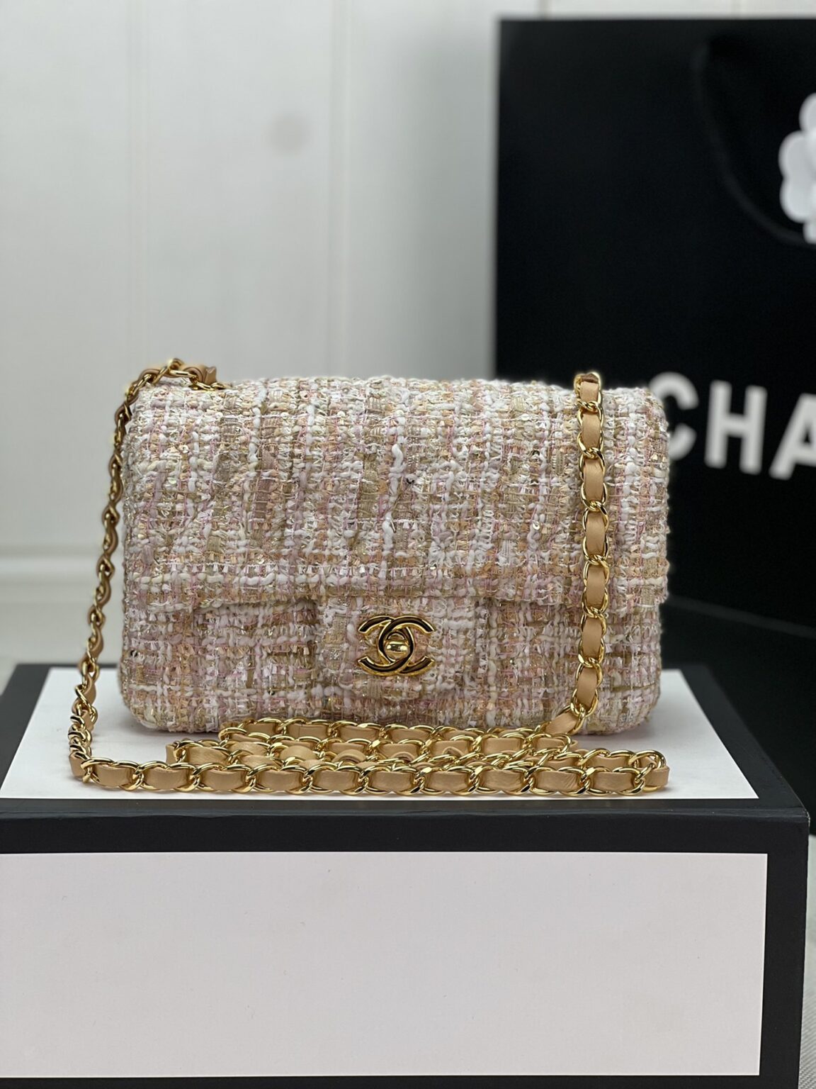 Chanel MINI CLASSIC FLAP BAG 1116 - 画像 (10)
