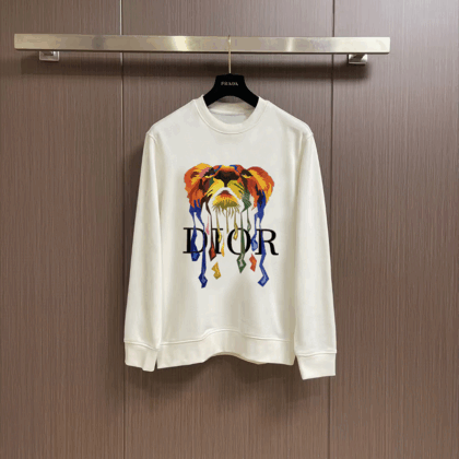 DIORパーカー 51 SS105468