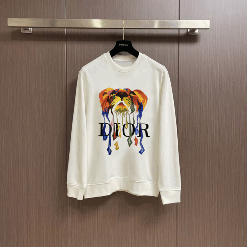 DIORパーカー 51 SS105468