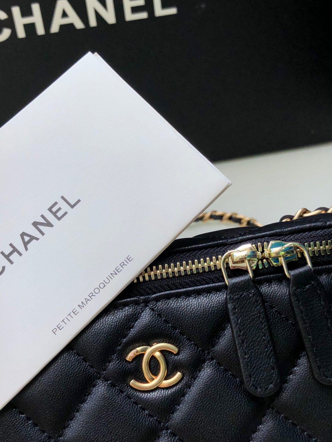 Chanel Classic Vanity 22C Bag with Chain AP2303 - 画像 (16)