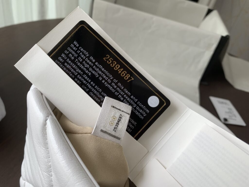 Chanel 19 medium 1161 - 画像 (18)