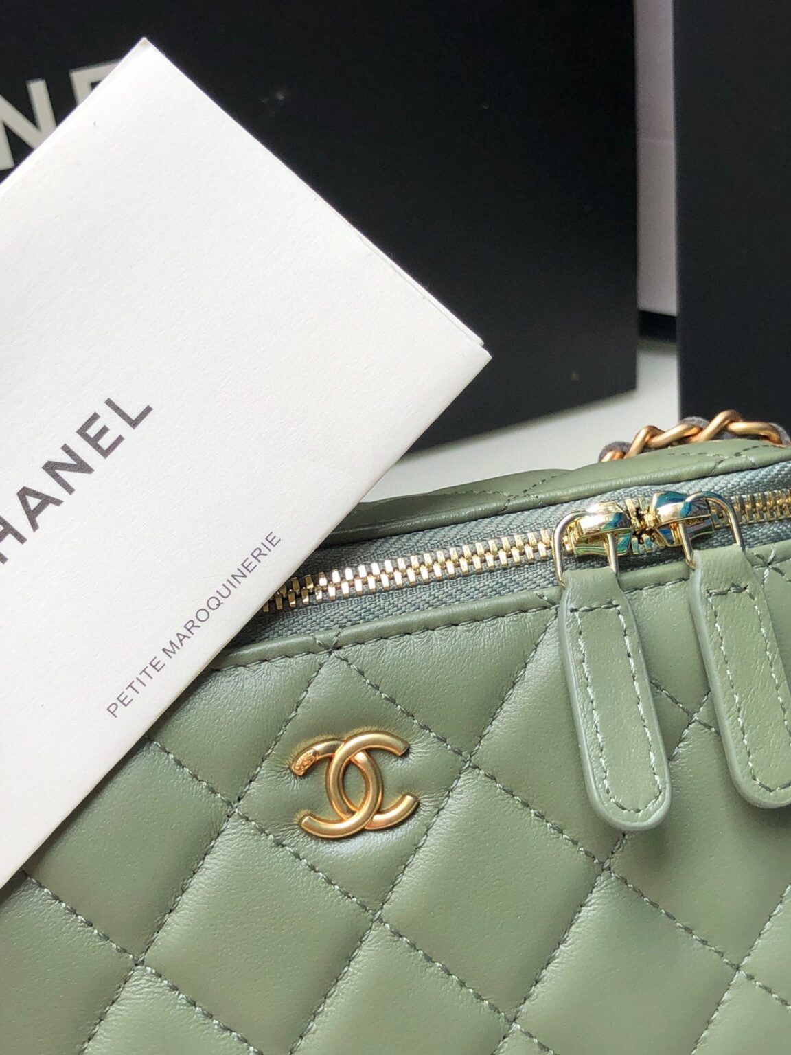 Chanel Classic Vanity 22C Bag with Chain AP2303 - 画像 (11)