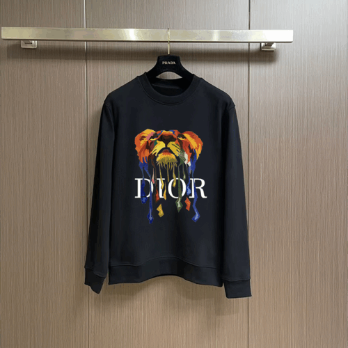 DIORパーカー 50 SS105468