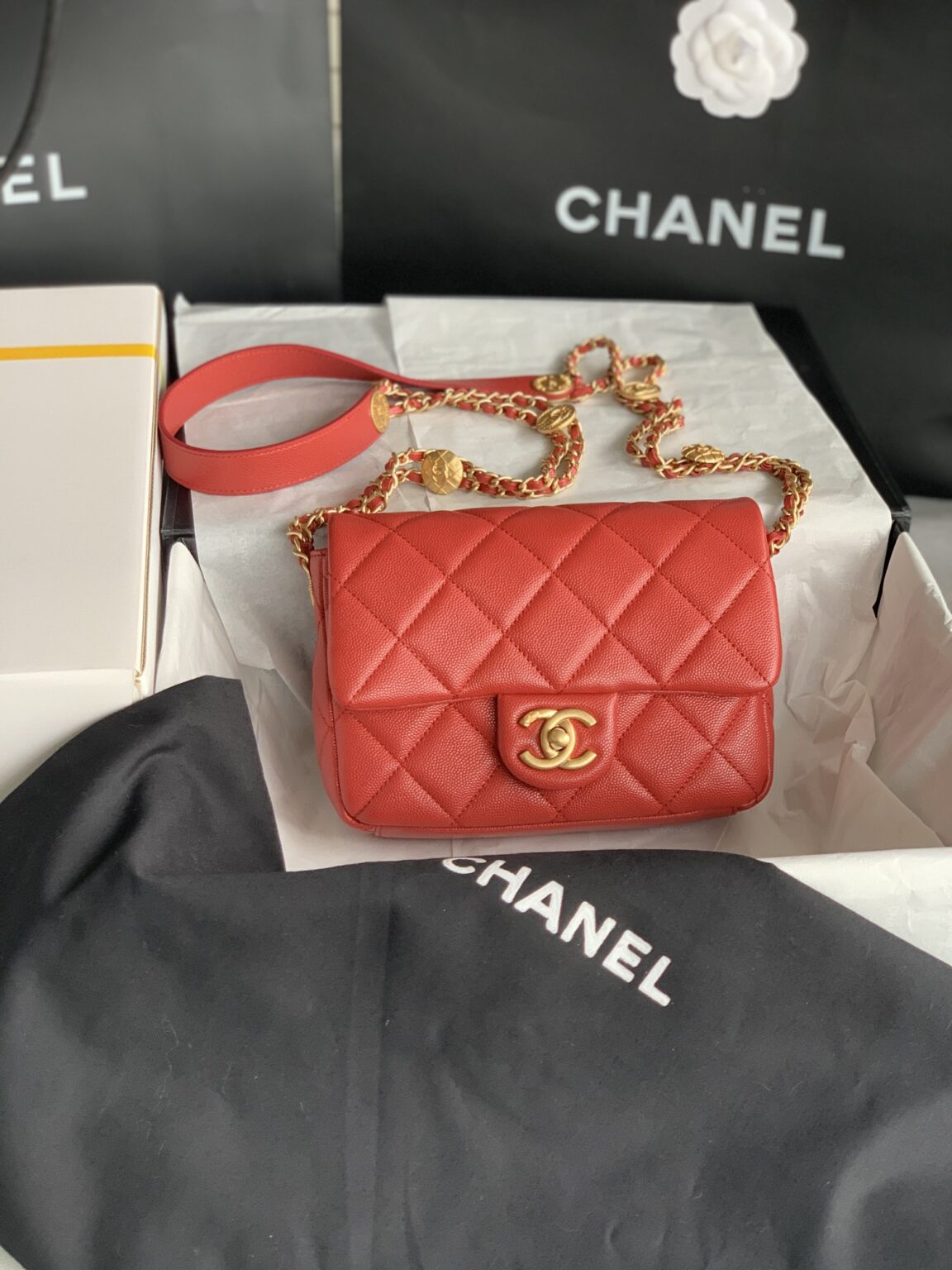 Chanel MINI CLASSIC FLAP BAG 3369 - 画像 (10)