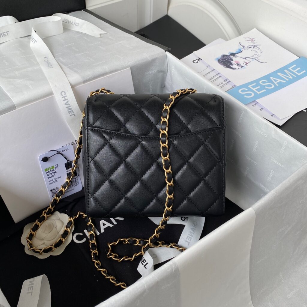 Chanel MINI FLAP BAG AS3648 - 画像 (2)