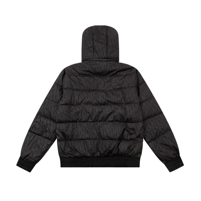 【DIOR】超人気 ダウンジャケット【全国送料無料】【即日出荷】 - 画像 (2)